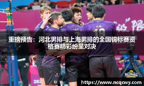 必博Bibo官方网站、