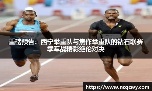 必博Bibo官网