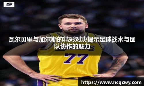 必博Bibo