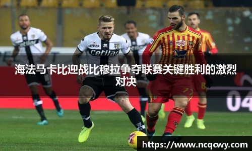 必博Bibo官网