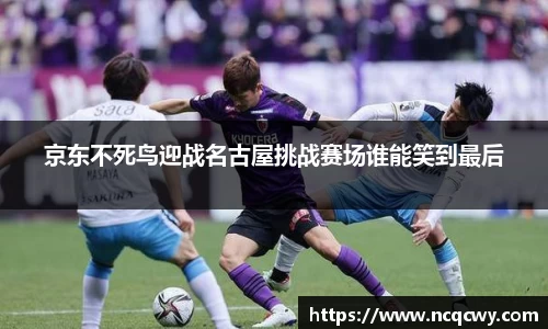 必博Bibo